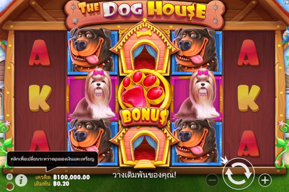 คุณต้องการที่จะเป็นคนต่อไปที่ร่ำรวยกว่านี้หรือไม่ มาเรียนรู้วิธีเล่น The Dog House Slot Game กันดีกว่า